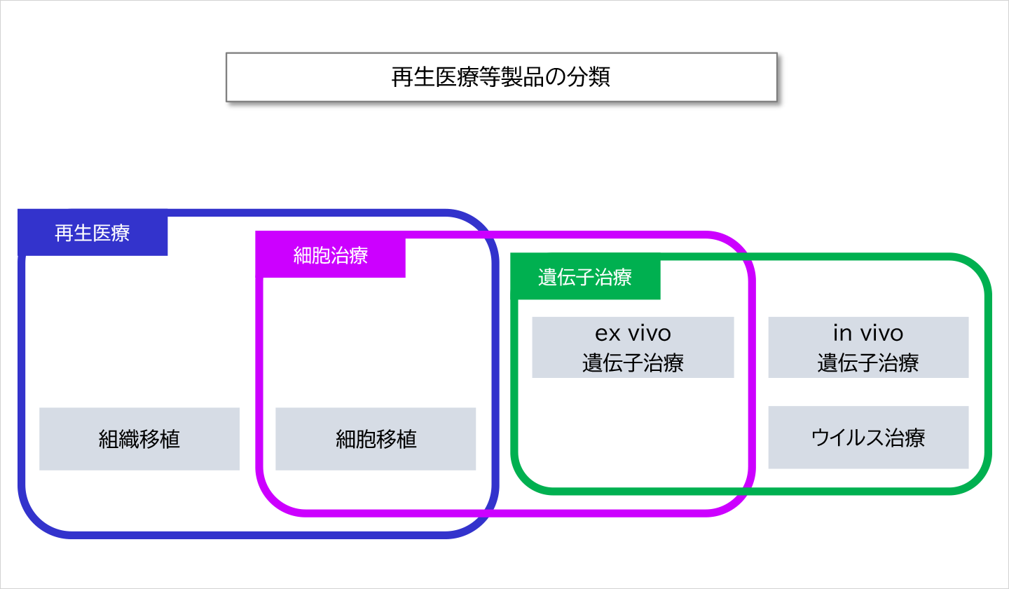 再生医療等製品の分類