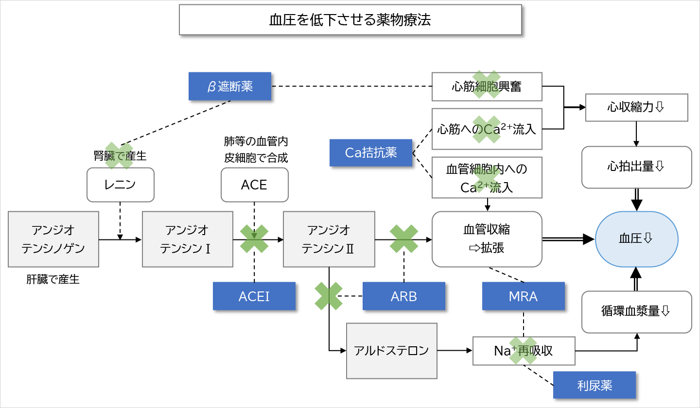 再生医療等に関する規制の枠組み