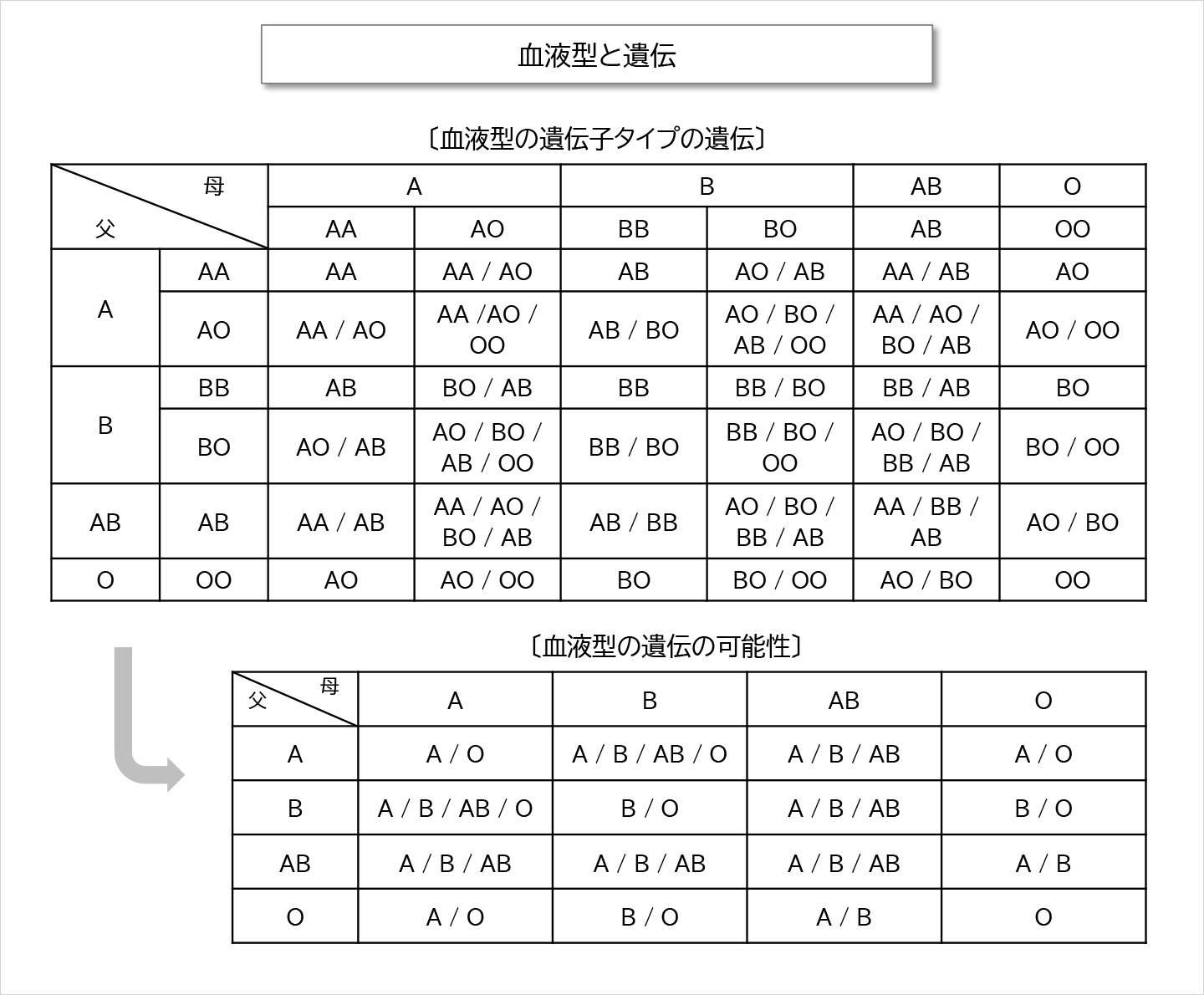 血液型と遺伝