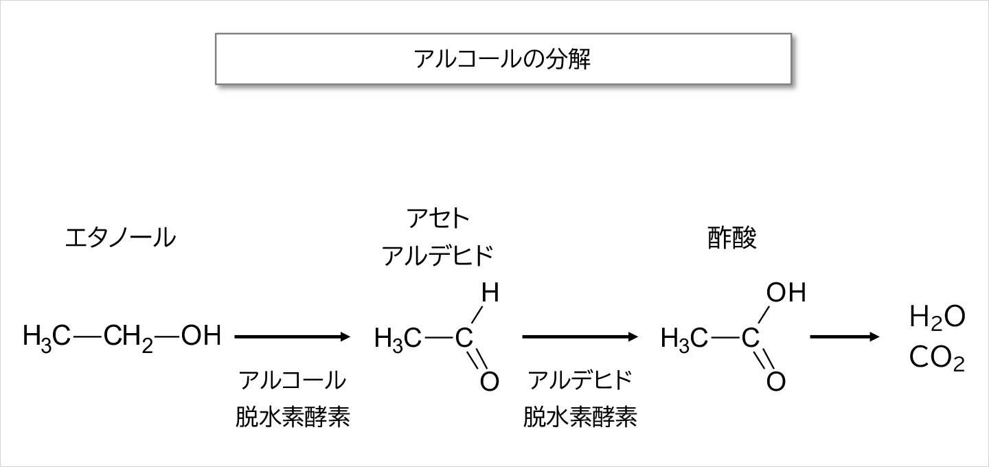 アルコールの分解