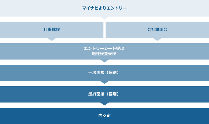 新卒採用フロー図