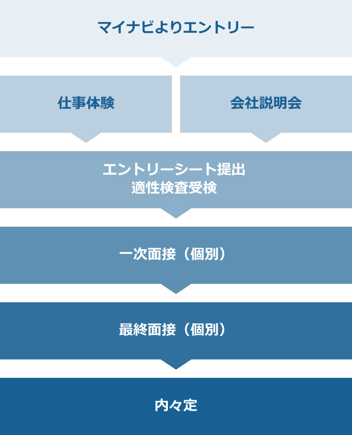 新卒採用フロー図