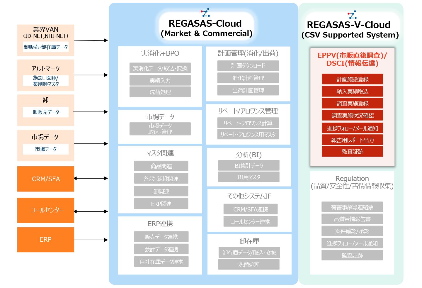 REGASAS-EPPV/DSCIシステムのシステム概要図